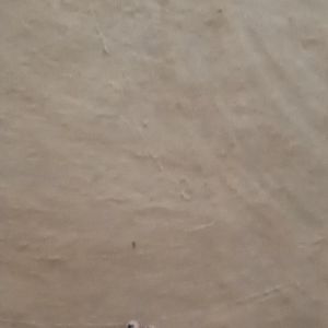 Meet your Posher, Sulanti